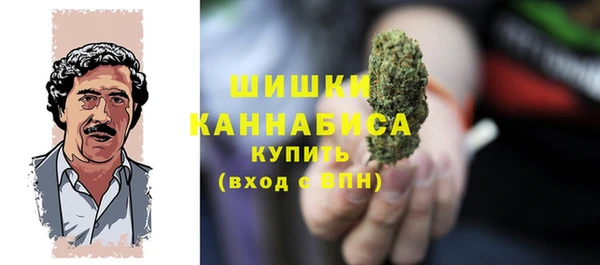 PSILOCYBIN Майский