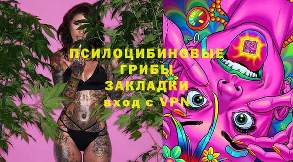 PSILOCYBIN Майский