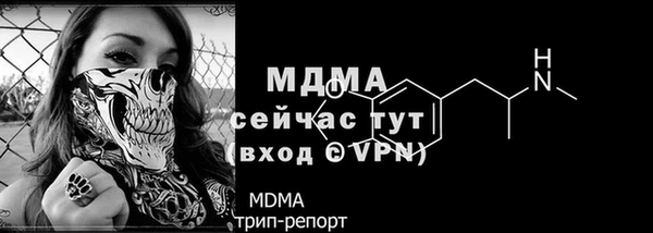 PSILOCYBIN Майский