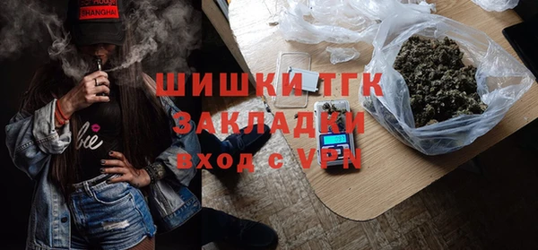 PSILOCYBIN Майский