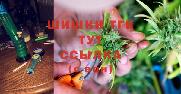 PSILOCYBIN Майский
