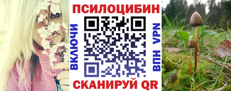 Псилоцибиновые грибы ЛСД  дарк нет какой сайт  Холмск 