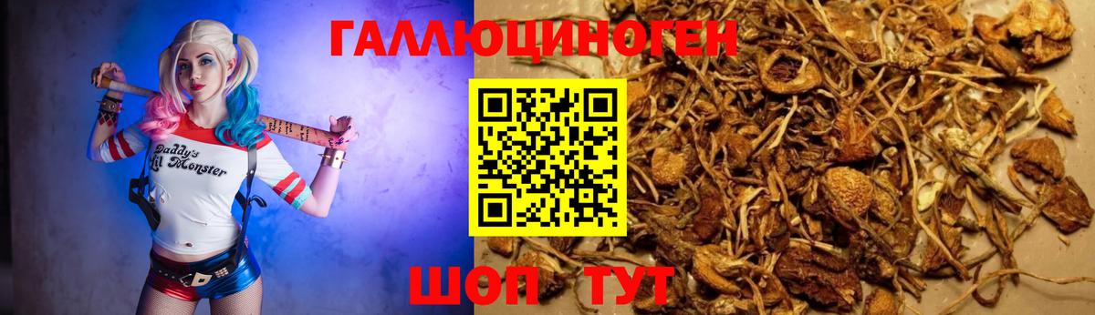 Холмск  закладка  Вход с VPN  Псилоцибиновые грибы Magic Shrooms 