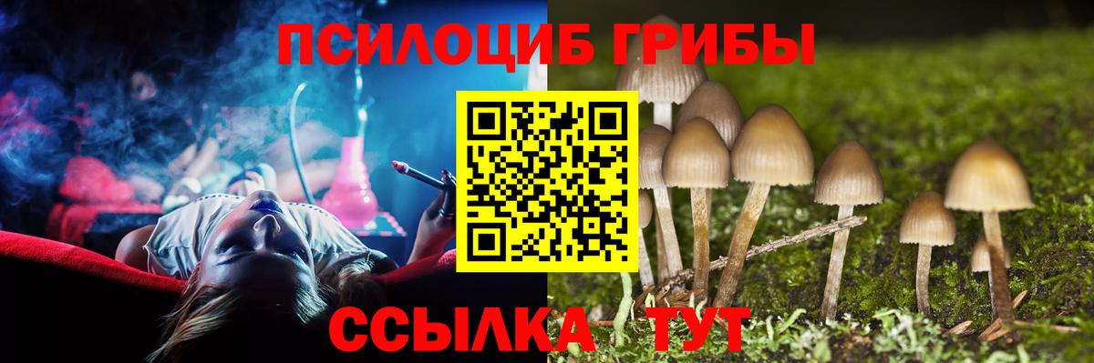 Псилоцибиновые грибы мухоморы Холмск